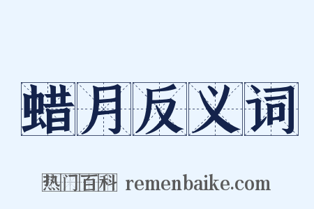 蜡月反义词是什么意思的图片